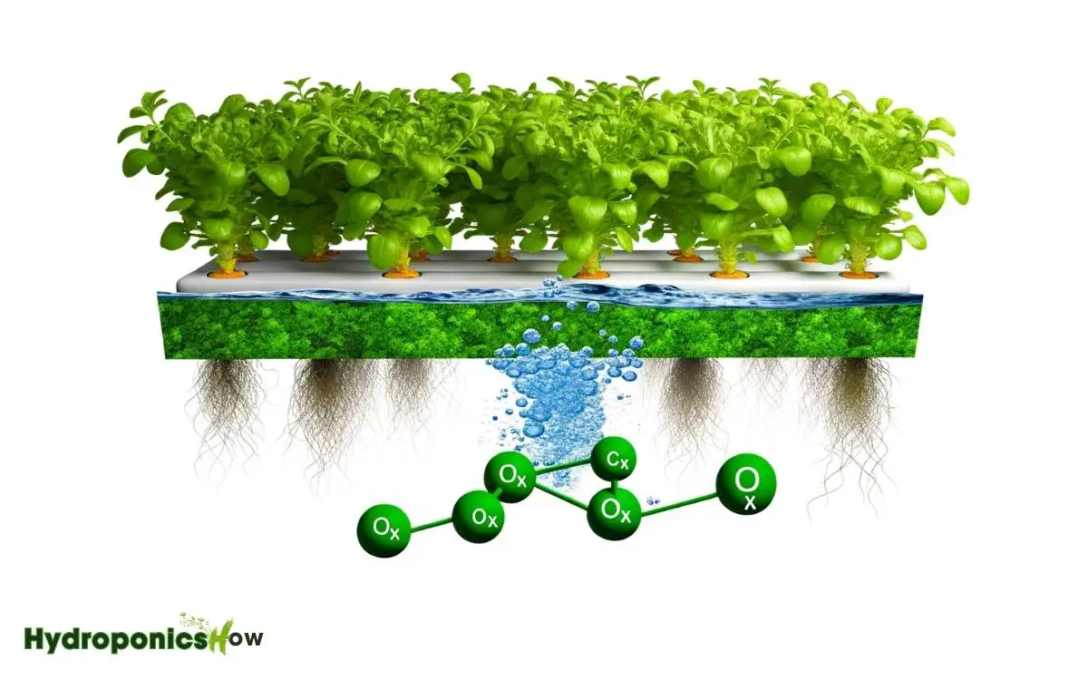 can a hydroponic plant produce enough oxygen