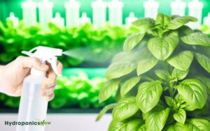 can you foliar feed plants using regular hydroponic nutrient solution