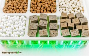 different types of growing media used in hydroponics