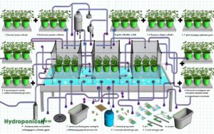 diy 4 plant hydroponic system