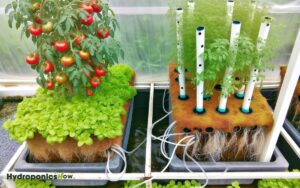 diy hybrid hydroponics and soil system in a planter