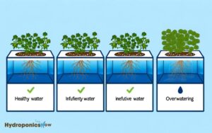 does different amounts of water affect hydroponic plant