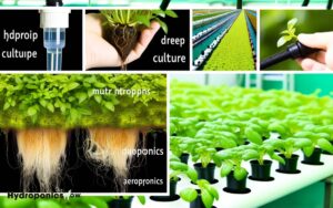 image of types of hydroponic growing