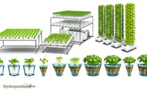 types of hydroponic system design