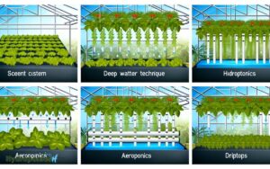 types of hydroponic systems in australia