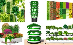 types of vertical hydroponics systems