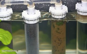 what type of filter do i need for hydroponics