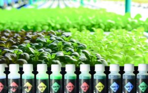 what type of nitrogen for hydroponics