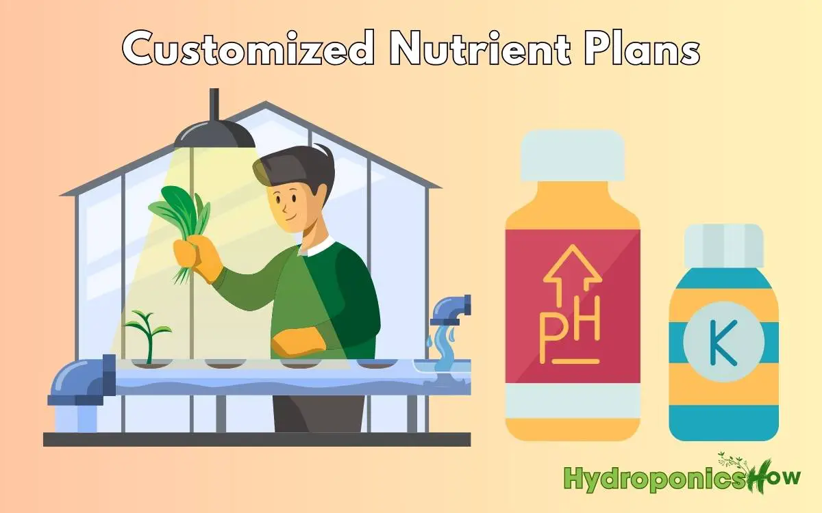 Customized Nutrient Plans