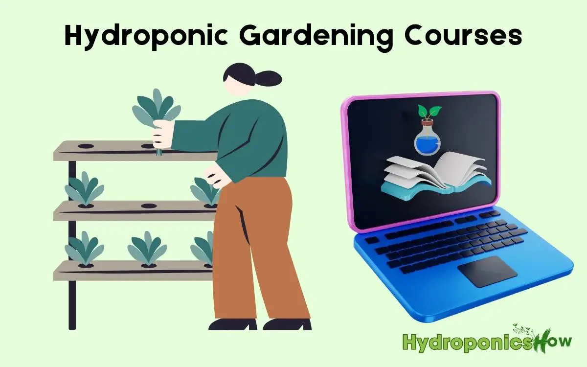 Hydroponic Gardening Courses