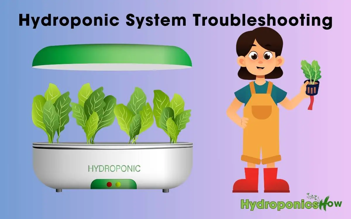 Hydroponic System Troubleshooting