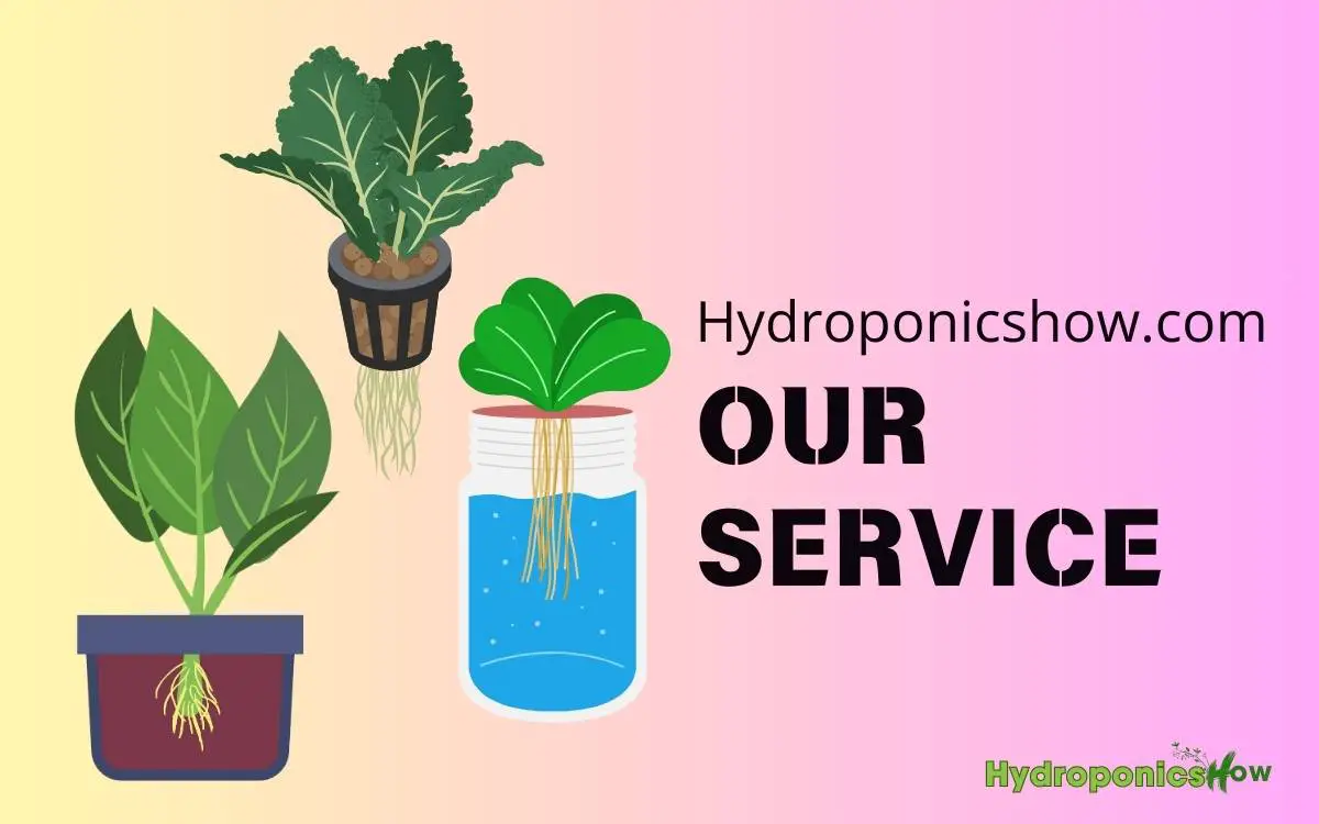 Hydroponicshow Service 01