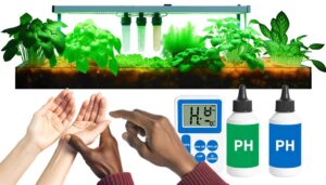 adjust hydroponic water ph