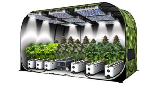 all in one hydroponic setup