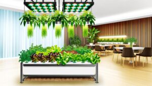 best indoor hydroponic system