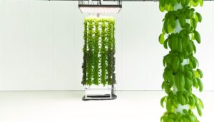 constructing hydroponic garden tower