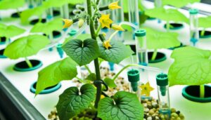 cucumber hydroponic nutrient solution