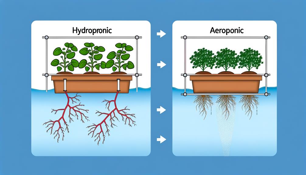 differences clarified and explained