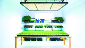 diy hydroponics farm kit