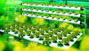 drip hydroponics systems operate continuously