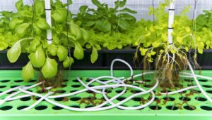 drip system hydroponics pros cons