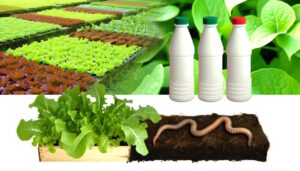 general hydroponics nutrients organic status