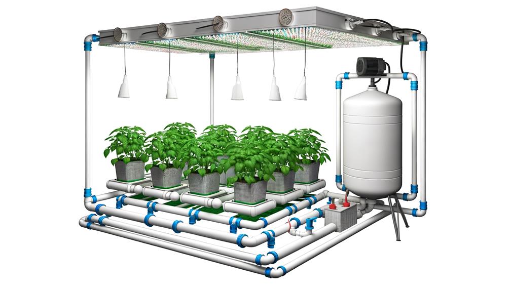 homemade hydroponic growing system