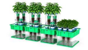 hydroponic container size guide