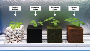 hydroponic growing media options