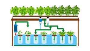 hydroponic pump size guide