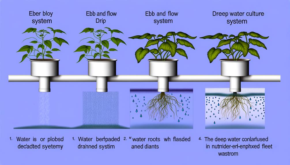 hydroponic system comparison guide