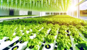 hydroponics reduces arsenic exposure