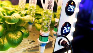 hydroponics system setup guide