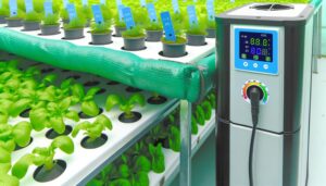 maintain hydroponic water temperature