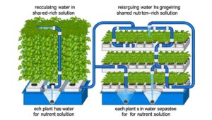 open versus closed hydroponics