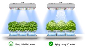 ro water vs distilled